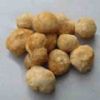  Monkey-Head Mushroom Extract